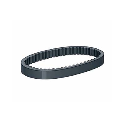Timing Belt
